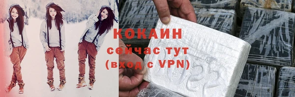 молекула духа Пересвет